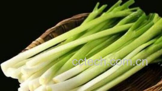 生吃大葱的功效与作用-1