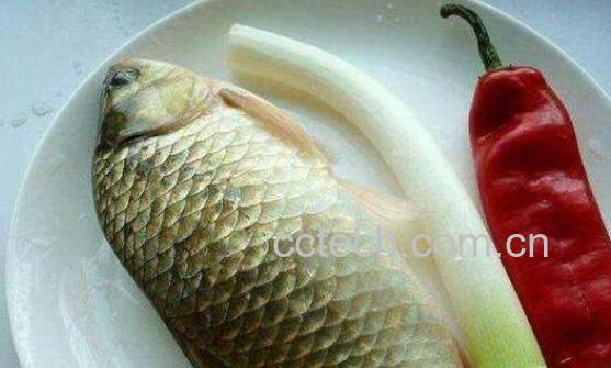 草鱼和鲫鱼的区别-0