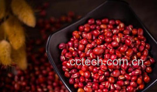 吃红豆的好处和坏处 红豆的食疗作用-0