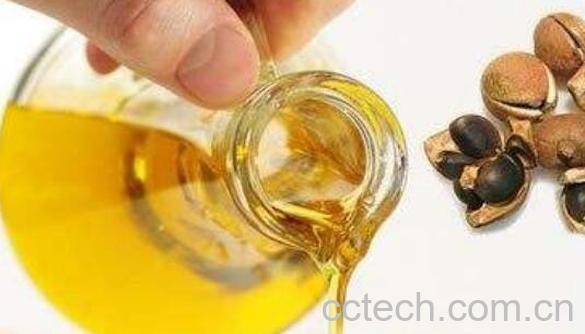山茶油怎么吃好 山茶油的食用方法-0