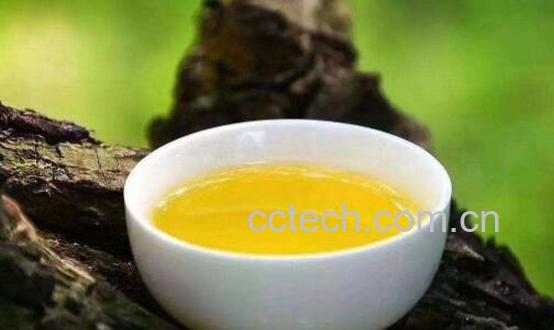 山茶籽油的功效与作用-0