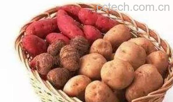 常见的富含淀粉食物有哪些 不含淀粉的食物有哪些-1