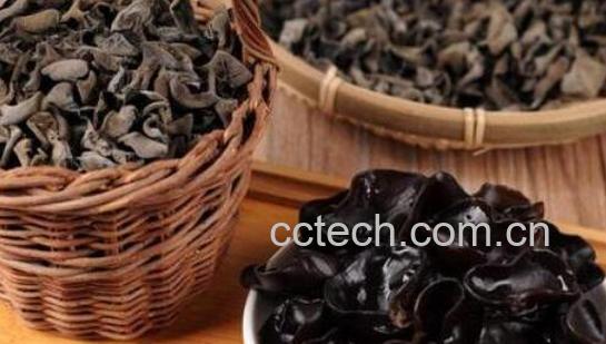 吃黑木耳有什么好处与坏处-1