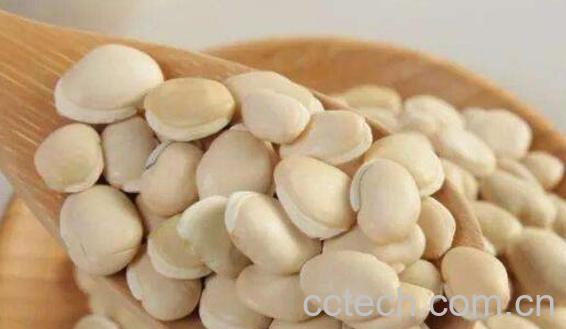 炒白扁豆的功效与作用 炒白扁豆怎么做好吃-0