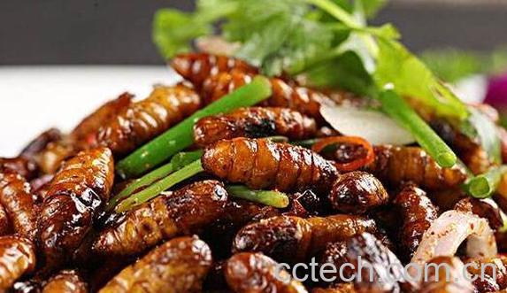 蚕蛹怎么做好吃-1