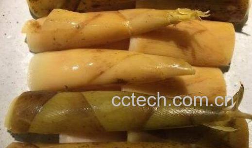 怎么剥春笋 如何剥春笋-0