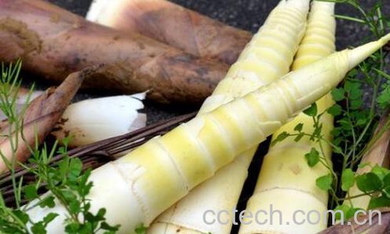 怎么剥春笋 如何剥春笋-1