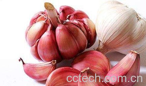 大蒜怎么保存 大蒜的正确保存方法-0