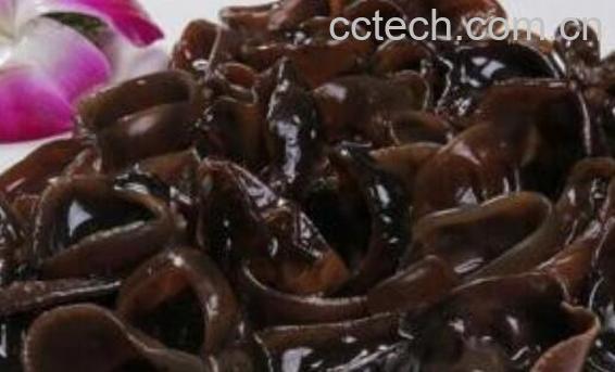 补血吃什么东西最好 吃什么东西补血-1