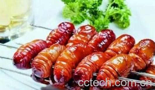 蚕蛹怎么吃 蚕蛹的食用方法-1