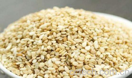 白芝麻的功效与作用及禁忌-1