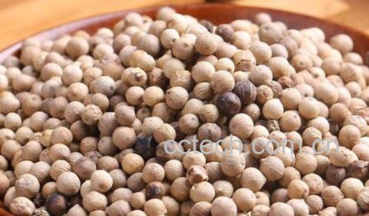 白胡椒的功效与作用及药用价值-0