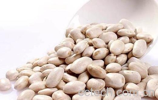 白芸豆的功效与禁忌-1