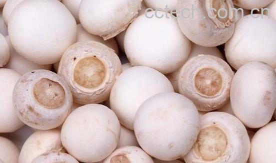 白蘑菇的做法 白蘑菇怎么做好吃-1