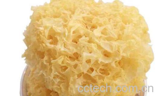 白木耳的功效与作用 白木耳怎么吃最好-1