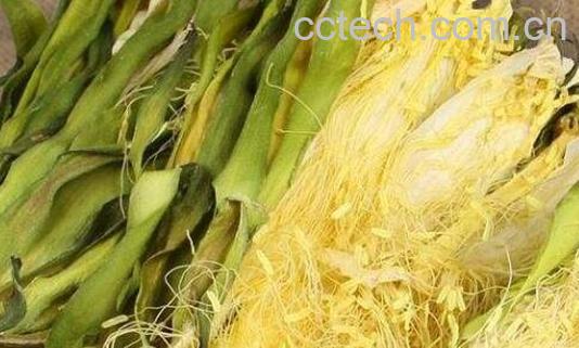 霸王花的功效与作用 霸王花的营养价值及药用价值-0