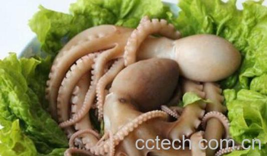 八爪鱼的营养价值 吃八爪鱼的好处-0