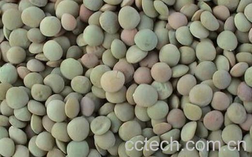 小扁豆的功效与作用 小扁豆怎么吃-0