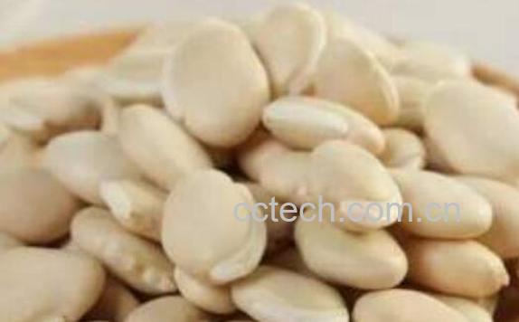 白扁豆的功效与作用与禁忌-1