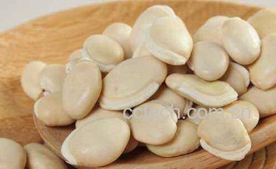 白扁豆的功效与作用与禁忌-0