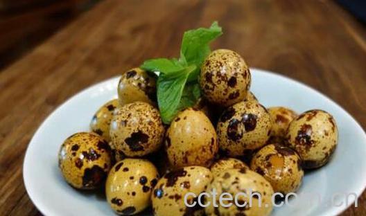 鹌鹑蛋怎么做好吃 鹌鹑蛋怎么煮-0