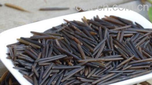 野米的功效与作用 野米的禁忌-1