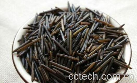 野米的功效与作用 野米的禁忌-0