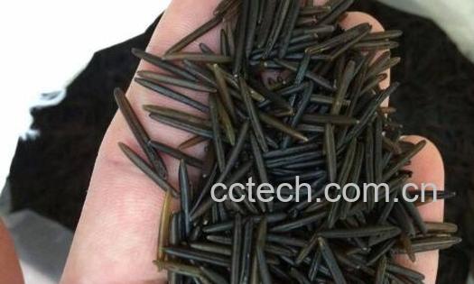 野米怎么吃 野米的最佳吃法-0