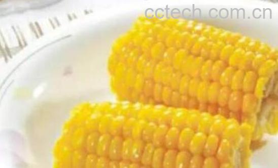 玉米的热量高吗 为什么减肥不建议吃玉米-0
