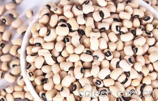 女人长期吃豆子的好处-0