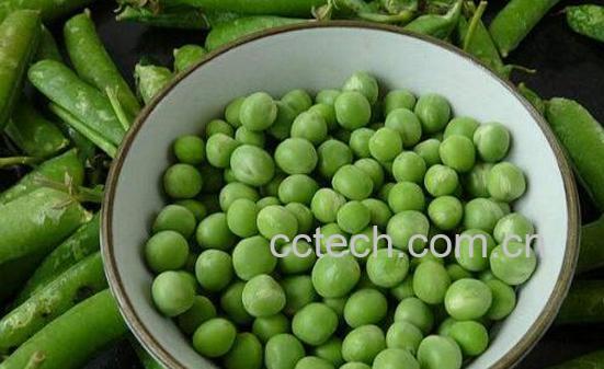 女人吃豌豆有什么好处-1