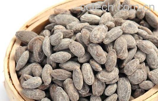 吊瓜子的功效与作用及食用方法-0