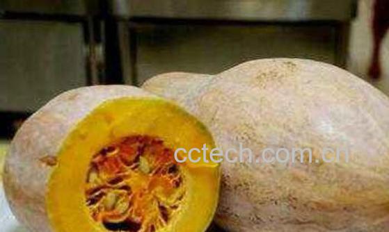 方瓜和南瓜的区别 方法的食用方法-1