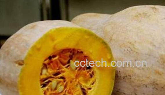 吃北瓜有什么好处和坏处-0