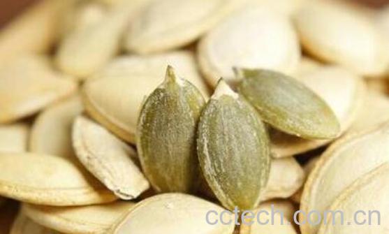 北瓜子的功效与作用及禁忌-1