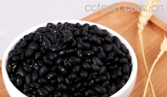 黑饭豆的功效与作用禁忌-0
