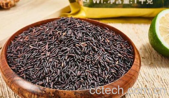 黑莓果米和黑米的区别 吃黑莓果米的好处-1