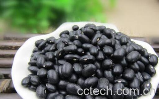 黑饭豆的功效与作用禁忌-1