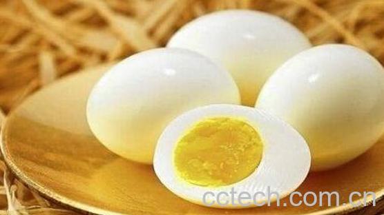 最燃脂又刮油的食物-0