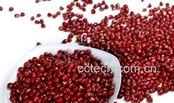 赤小豆和红豆的区别 赤小豆怎么吃-0