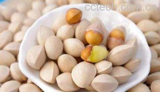 白果和白果仁的区别 吃白果的好处-0