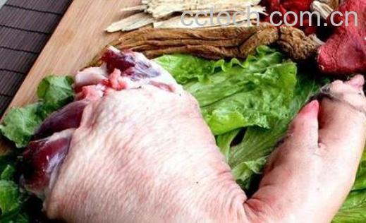 野猪蹄的功效与作用-1