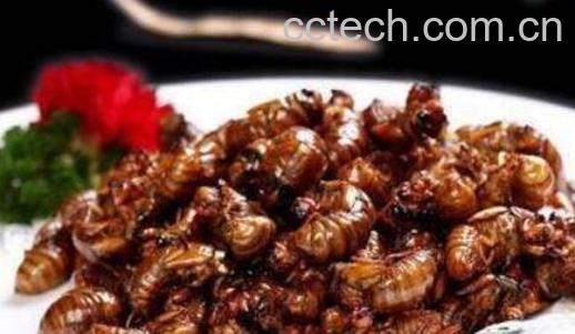 爬叉的功效与作用-0