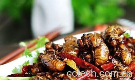 爬叉的功效与作用-1