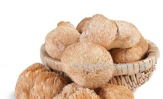 风干的猴头菇怎么吃-1