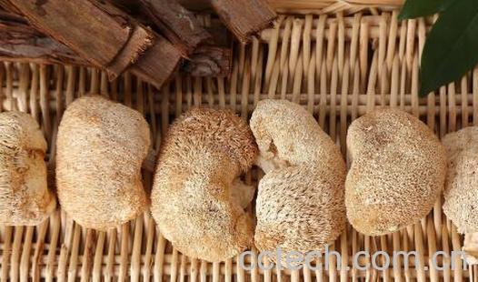 风干的猴头菇怎么吃-0