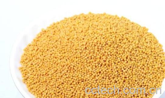 黄芥末籽的功效与作用-0