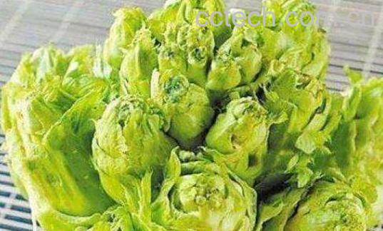 齿儿菜的功效与作用-0