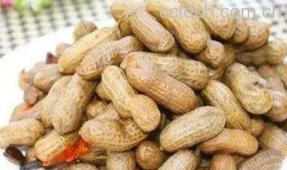 花生怎么煮好吃 水煮花生的禁忌-0