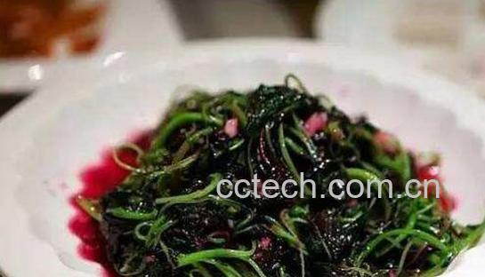 苋菜的功效与作用及禁忌-1